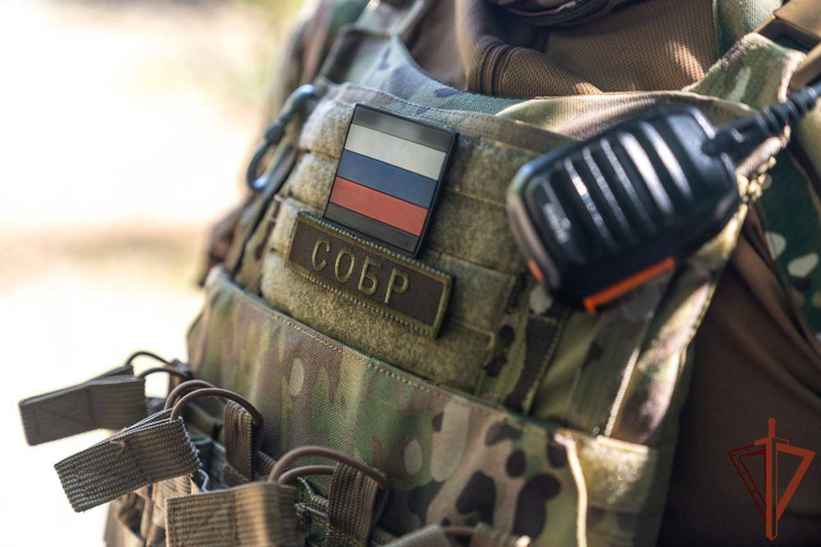 ПОЧТИ ПОЛТОННЫ НЕЗАКОННО ДОБЫТОЙ КРАСНОКНИЖНОЙ РЫБЫ ИЗЪЯТО ПРИ СОДЕЙСТВИИ РОСГВАРДИИ У БРАКОНЬЕРОВ В АСТРАХАНСКОЙ ОБЛАСТИ