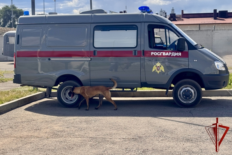 Астраханский кинолог Росгвардии завоевал золото на чемпионате Южного округа