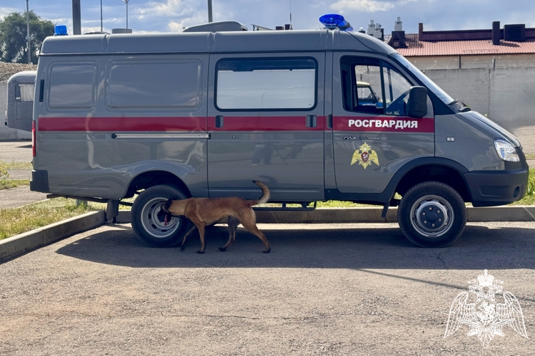 Астраханский кинолог Росгвардии завоевал золото на чемпионате Южного округа