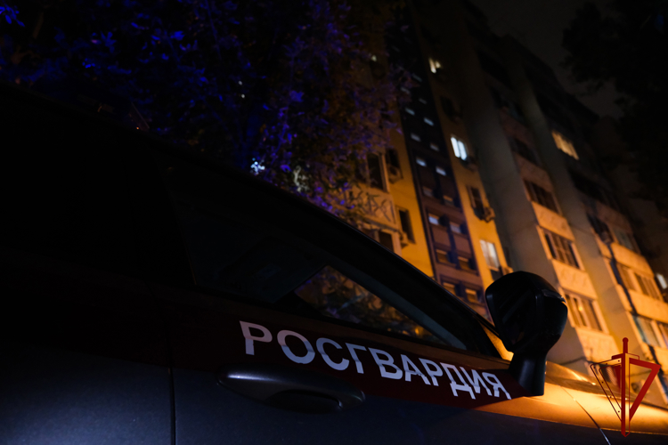Безопасность детей – в одно нажатие «тревожной» кнопки Росгвардии (видео)